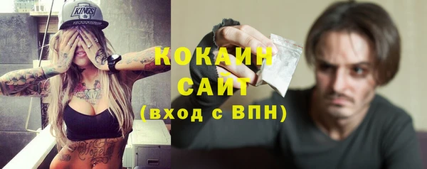 дмт Дмитров
