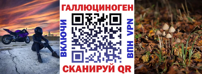 omg   как найти   Заозёрный  Галлюциногенные грибы Cubensis 